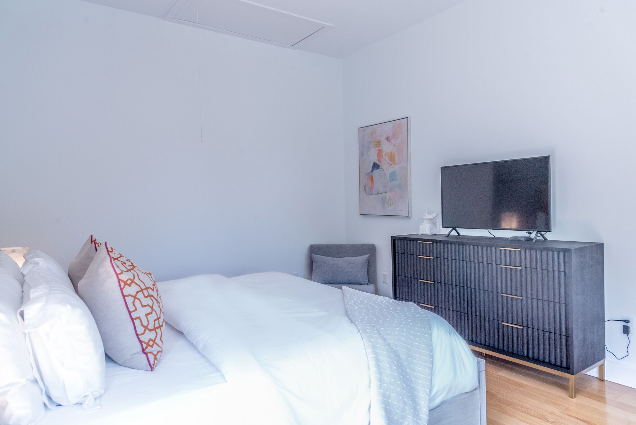 Pullout twin sleeper sofa/chair and connected Smart TV.